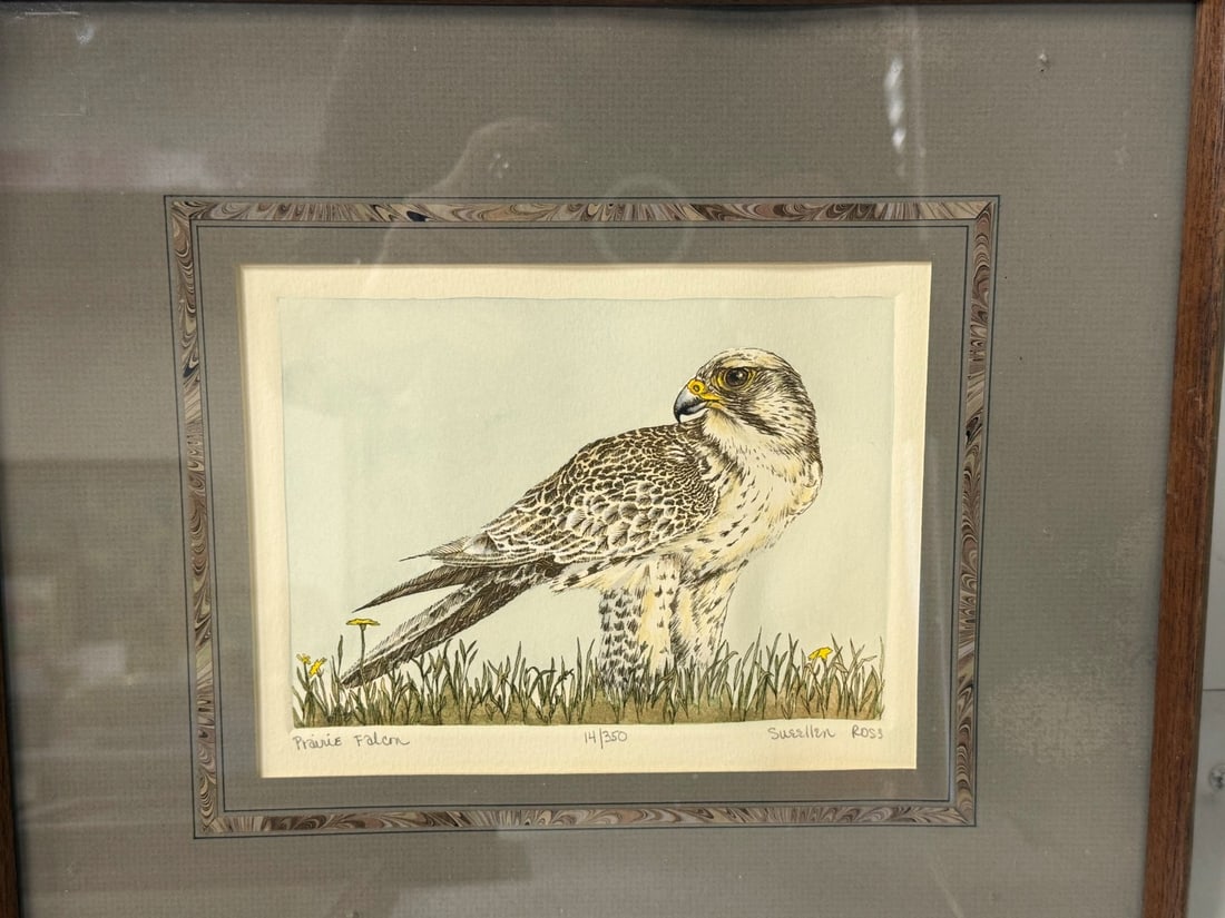 Nine(9) Miscellaneous Framed Prints - 4