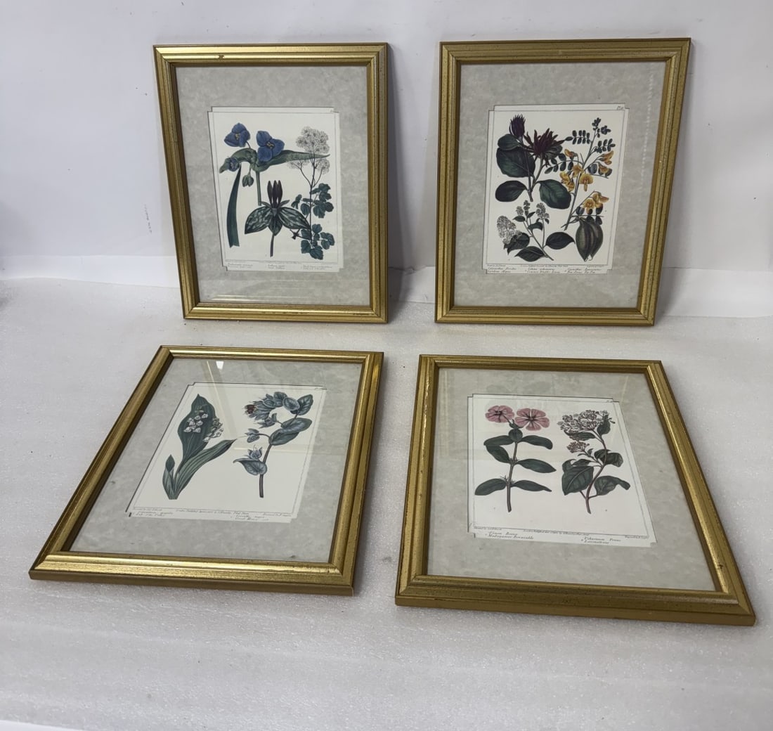 Four(4) Framed Botanical Prints (1 of 6)