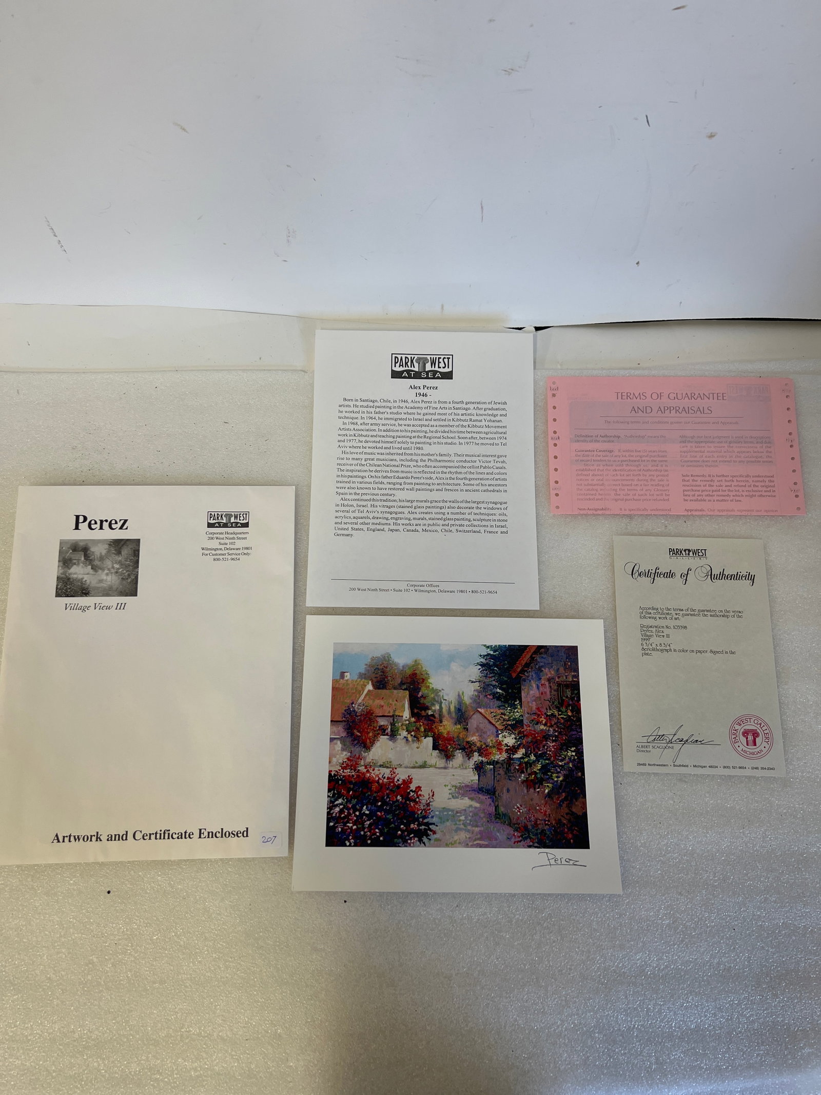 Sgd Perez Artwork With COA (1 of 2)