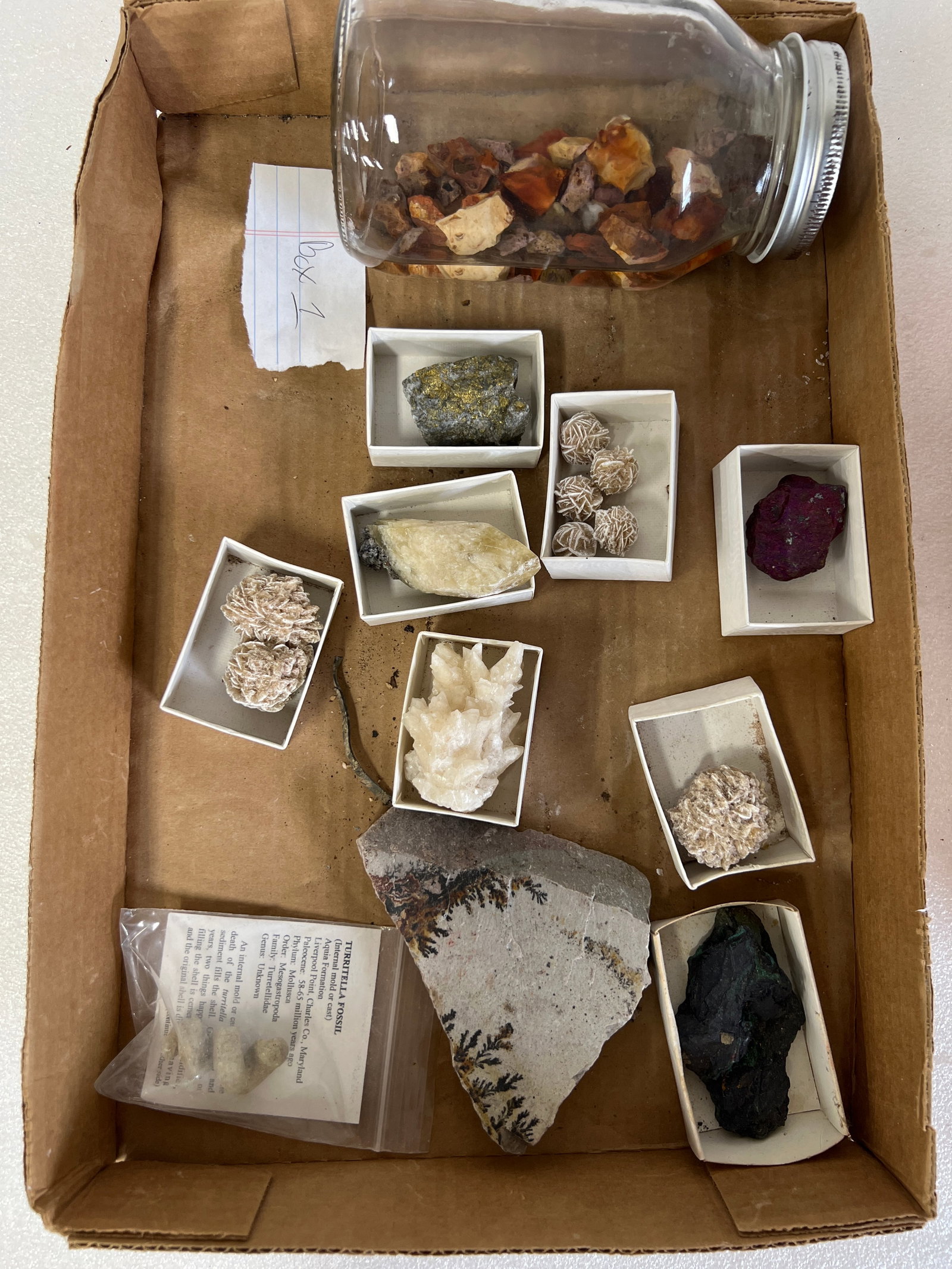 Box Lot Minerals (11) (1 of 1)
