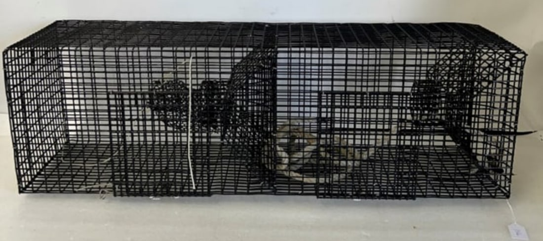 Fishing or Lobster Trap Cage (1 of 1)