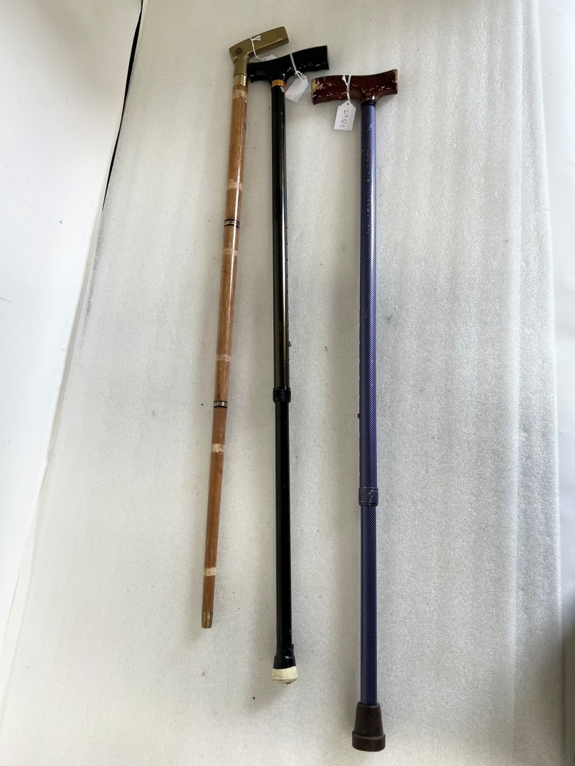 Vintage Walking Sticks (3): As Pictured