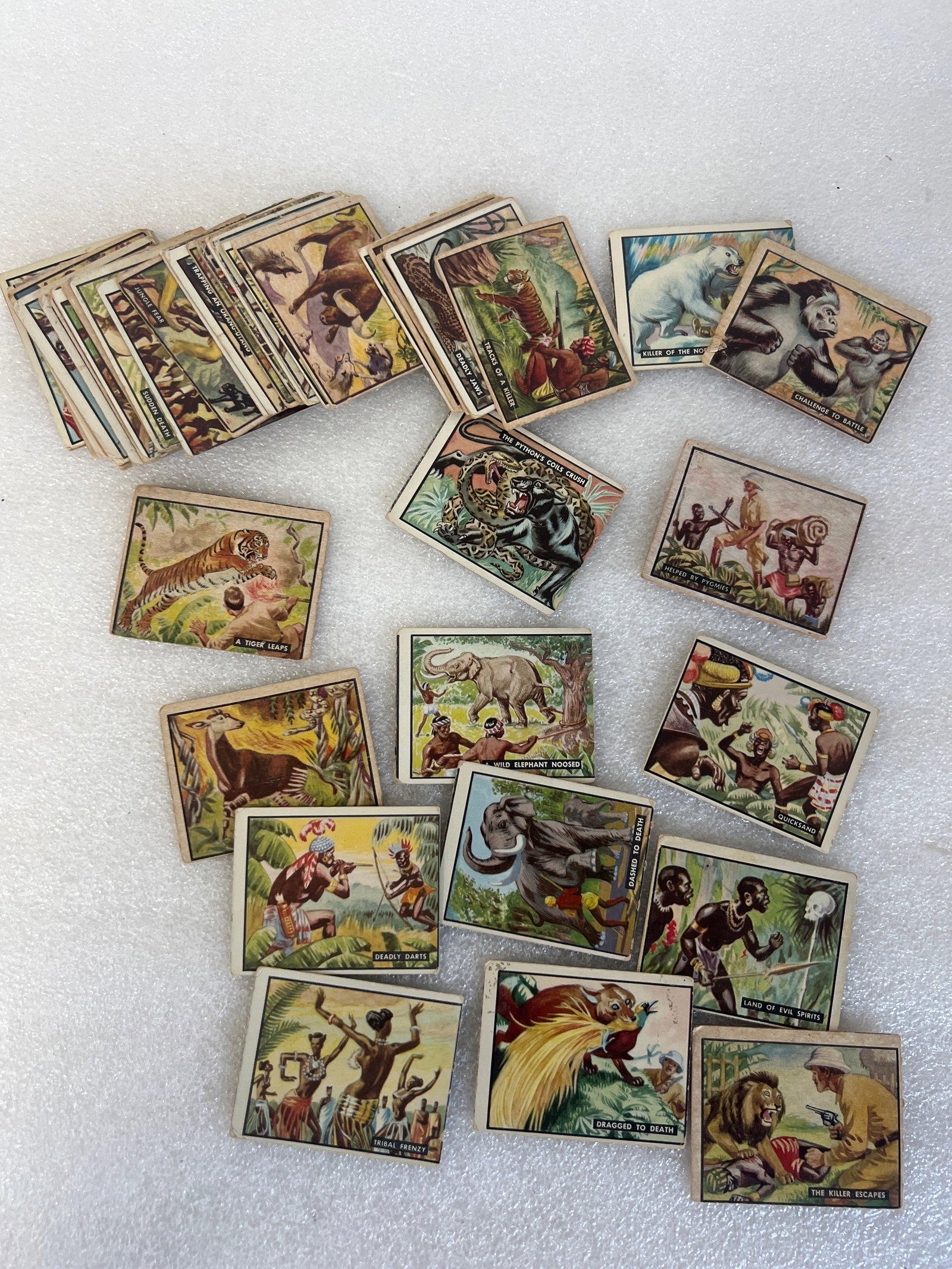 1950 Bowman Bring Em Back Alive (50): As pictured Fifty in the in the lot