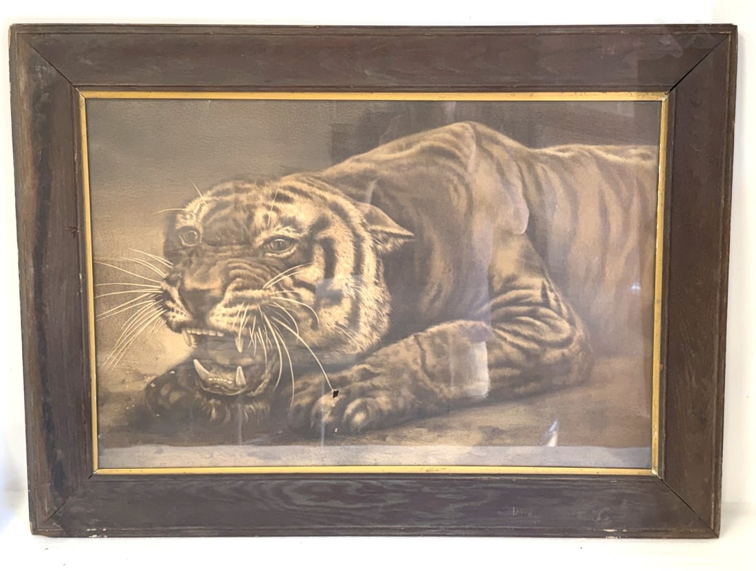 Oak Framed Chromolithograph of a Tiger (1 of 4)