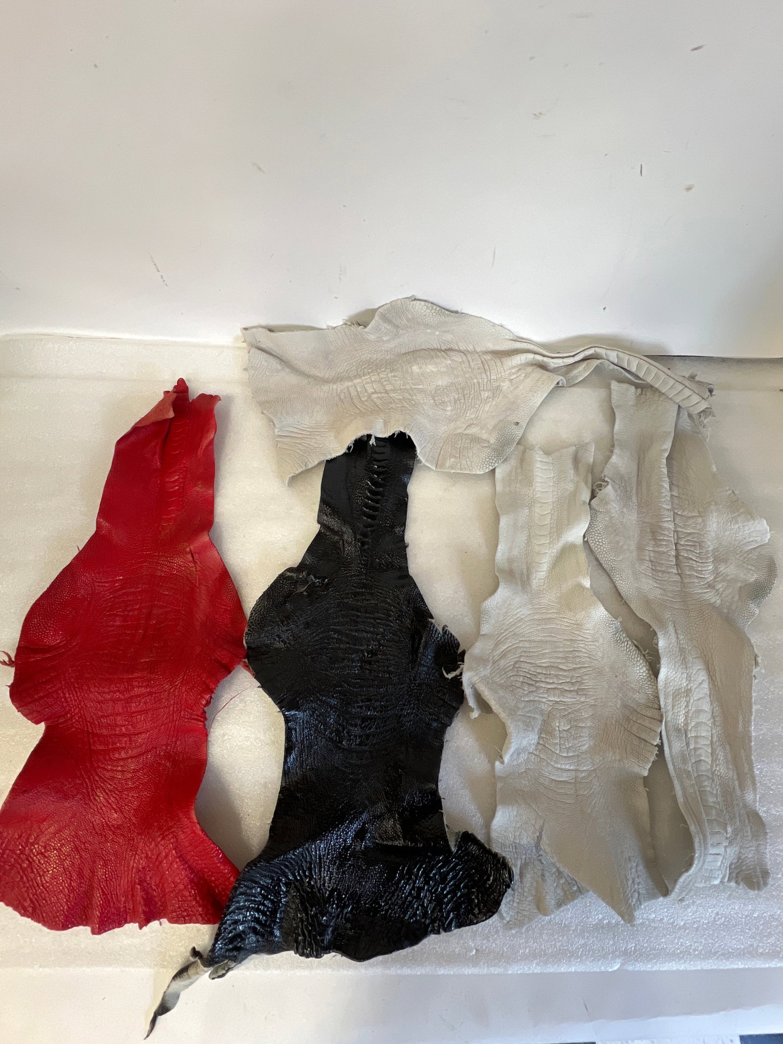 Lot of Ostrich Skins (5): As Pictured