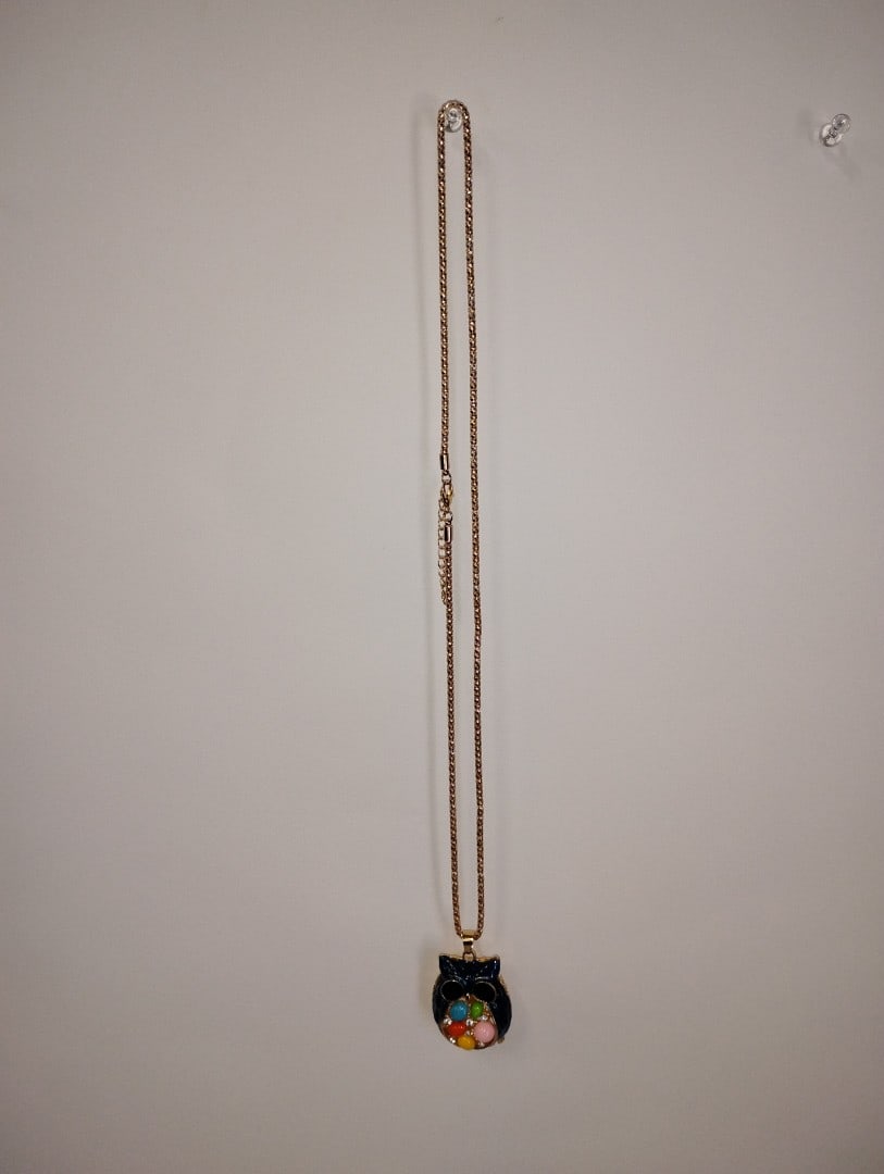 Unusual Enameled Owl Pendant: On chain