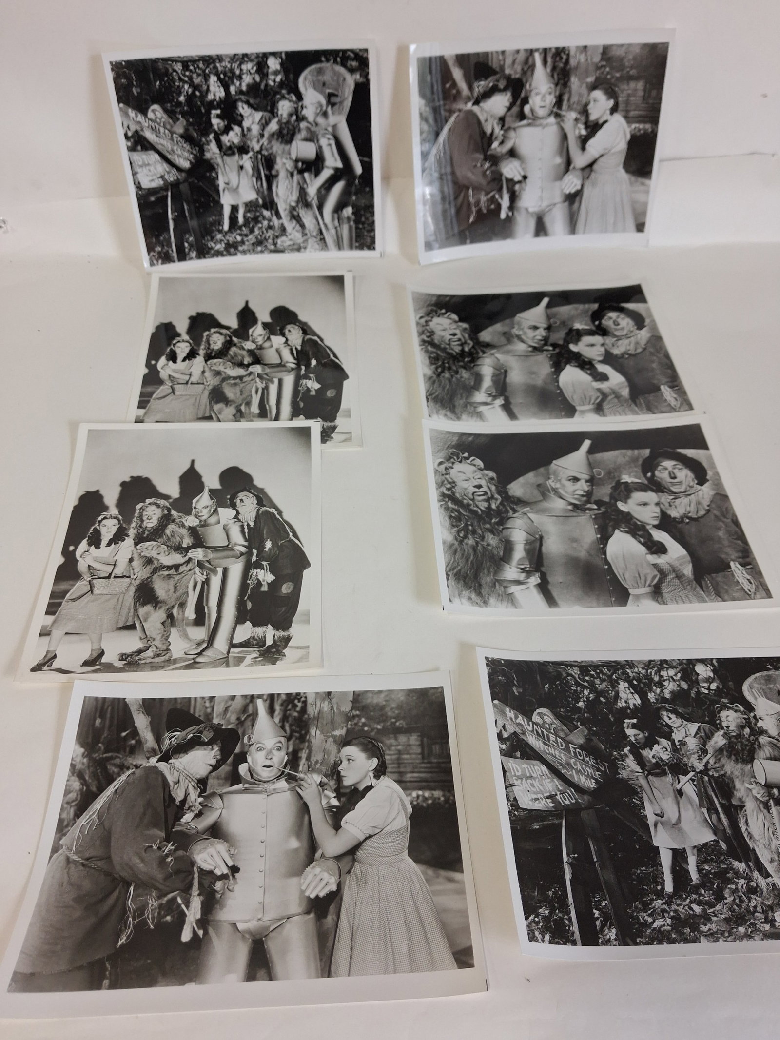 Wizard of Oz Photos (8): All 8x10. As pictured