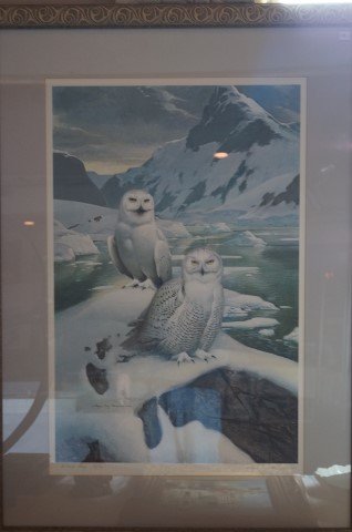 Roger Tory Peterson Artist Proof: Arctic Owls Snowy Owls. 1983. Signed and marked 5/56/950. 36" H. x 24.5"W. Unframed.
