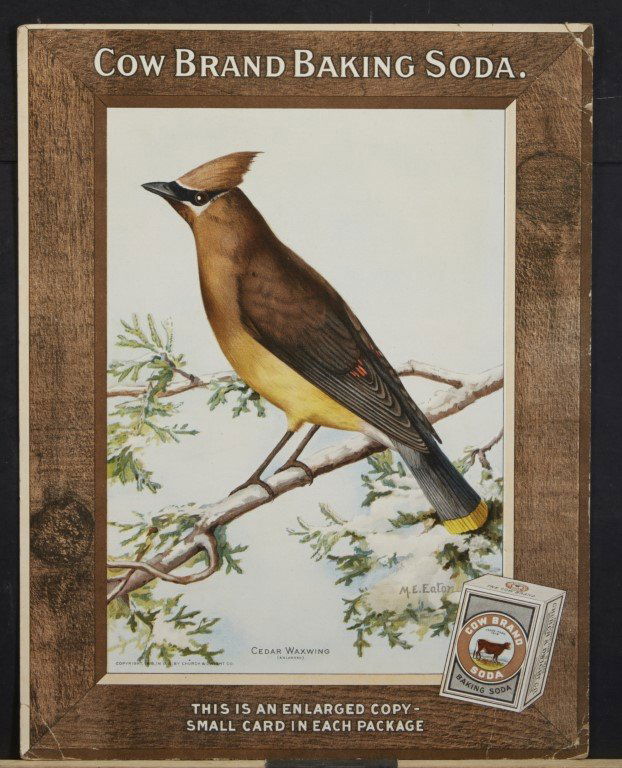 Cow Brand Baking Soda Advertisement: Signed M.E. Easton. 1918. Church & Dwight Co. Lithography on paper.; 14 1/2" x 11 1/4"
