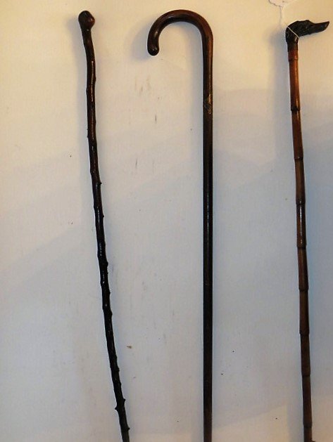 Three Walking Sticks (1 of 1)