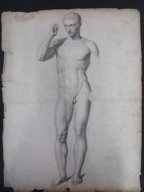Ecole Des Beaux Arts: Cast Drawing: 23"H. x 18"W