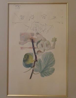 Dali, Salvador. Lithograph. Fig Tree (1 of 2)