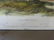 J.J. Audubon. Octavo. Common American Deer. No.81 - 2