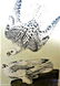 J.J. Audubon. Octavo. Iceland or Gyr Falcon No.19