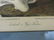 J.J. Audubon. Octavo. Iceland or Gyr Falcon No.19 - 2