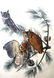 J.J. Audubon. Octavo. Little Screech Owl No.40