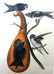 J.J. Audubon. Octavo. Purple Martin No.45
