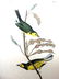 J.J. Audubon. Octavo. Hooded Flying Warbler No.71