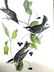 J.J. Audubon. Octavo. Black Poll Wood Warbler No.78