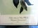 J.J. Audubon. Octavo. Yellow Throated Wood Warbler - 2