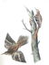 J.J. Audubon. Octavo. Brown Tree-Creeper No.115