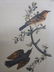 J.J. Audubon. Octavo. Varied Thrush No.143