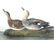 J.J. Audubon. Octavo. Gadwall Duck No.388