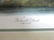 J.J. Audubon. Octavo. Gadwall Duck No.388 - 2