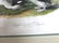 J.J. Audubon. Octavo. Buffed-Headed Duck No.408 - 2