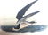 J.J. Audubon. Octavo. Black Skimmer or Shearwater