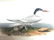 J.J. Audubon. Octavo. Cayenne Tern No.429