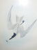 J.J. Audubon. Octavo. Gull Billed Tern-Marsh Tern