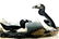 J.J. Audubon. Octavo. Great Auk No.465