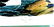 J.J. Audubon. Octavo. Great Auk No.465 - 2