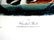 J.J. Audubon. Octavo. Crested Grebe No.479 - 2