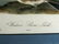 J.J. Audubon. Octavo. Western Shore Lark No.497 - 2