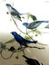 J.J. Audubon. Octavo. Inigo Bunting No.170