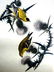 J.J. Audubon. Octavo. American Goldfinch No.181