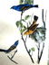 J.J. Audubon. Octavo. Blue Song Grosbeak No.204