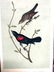 J.J. Audubon. Octavo. Red & Black Shouldered Blackbird