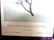 J.J. Audubon. Octavo. Red & Black Shouldered Blackbird - 2