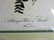 J.J. Audubon. Octavo. Red-Eyed Vireo or Greenlet No.243 - 2