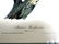 J.J. Audubon. Octavo. Marias Woodpecker No.260 - 2