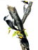 J.J. Audubon. Octavo. Arctic Three-Toed Woodpecker