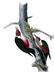 J.J. Audubon. Octavo. Lewis Woodpecker No.272 - 2