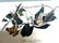 J.J. Audubon. Octavo. Blackbilled Cuckoo No.276