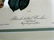 J.J. Audubon. Octavo. Blackbilled Cuckoo No.276 - 3