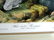 J.J. Audubon. Octavo. White-Tailed Ptarmigan No.302 - 2