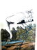 J.J. Audubon. Octavo. Whooping Crane No.313
