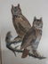 J.J. Audubon. Octavo. Great Horned Owl No.39